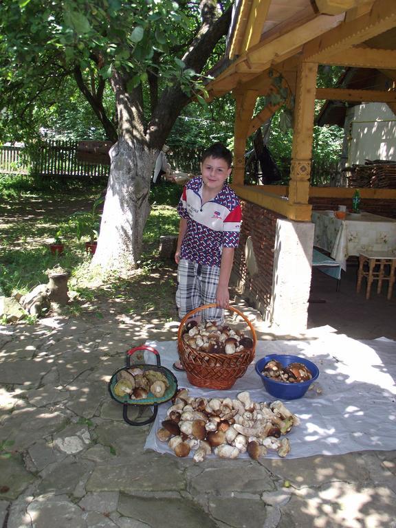 Guesthouse U Dida Viktora Yaremche Exterior photo