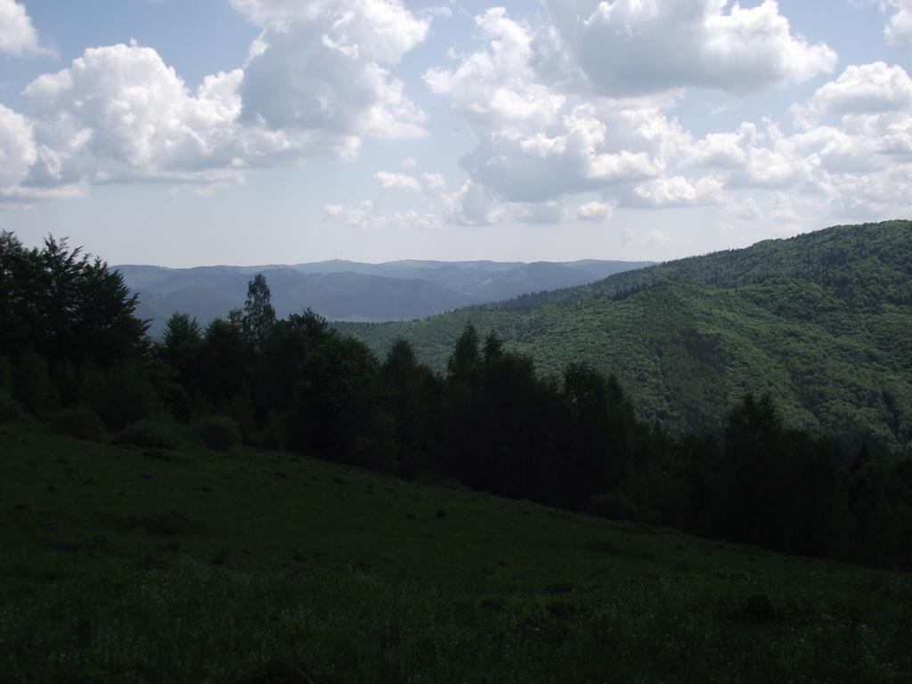 Guesthouse U Dida Viktora Yaremche Exterior photo